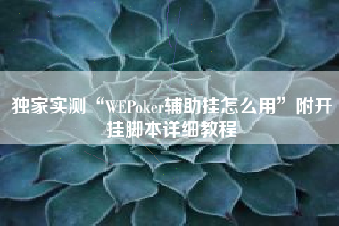 独家实测“WEPoker辅助挂怎么用	”附开挂脚本详细教程