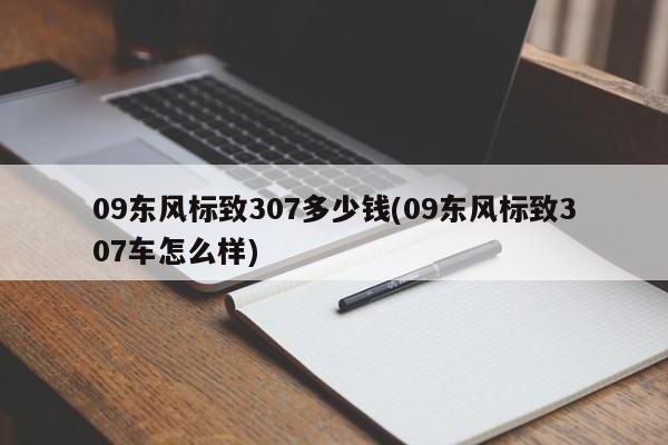 09东风标致307多少钱(09东风标致307车怎么样)