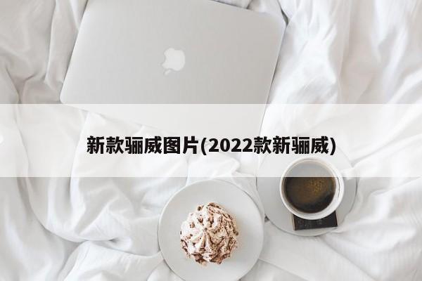 新款骊威图片(2022款新骊威)