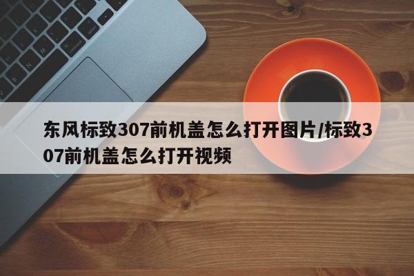 东风标致307前机盖怎么打开图片/标致307前机盖怎么打开视频