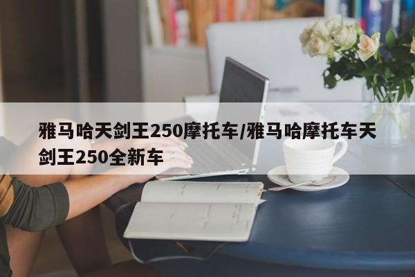 雅马哈天剑王250摩托车/雅马哈摩托车天剑王250全新车