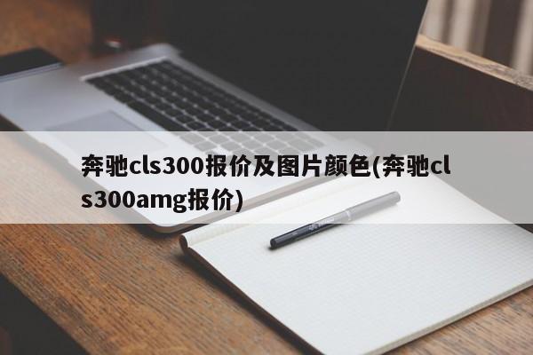 奔驰cls300报价及图片颜色(奔驰cls300amg报价)