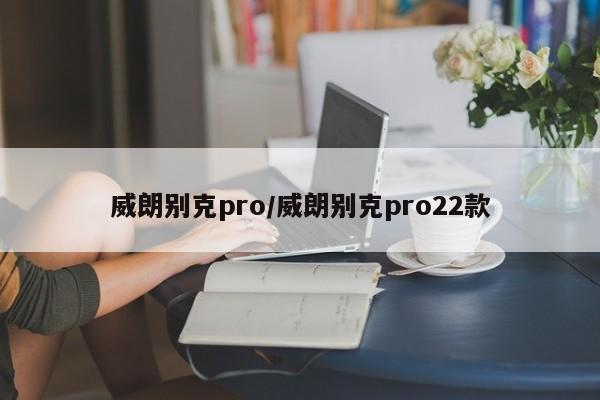 威朗别克pro/威朗别克pro22款