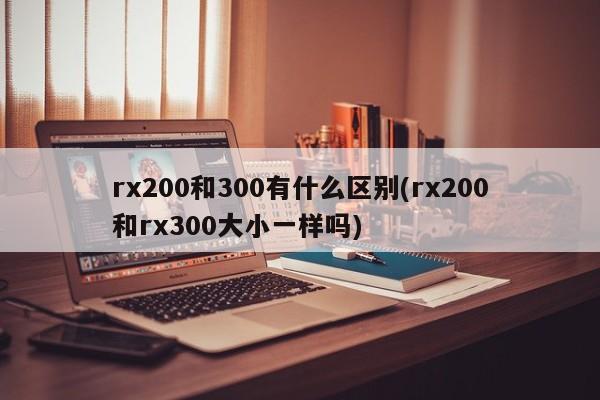 rx200和300有什么区别(rx200和rx300大小一样吗)