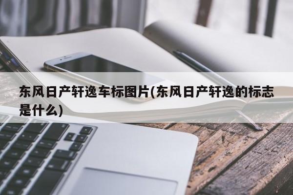 东风日产轩逸车标图片(东风日产轩逸的标志是什么)